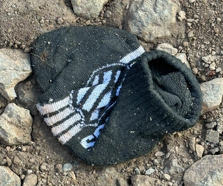 Lost And Found Sock