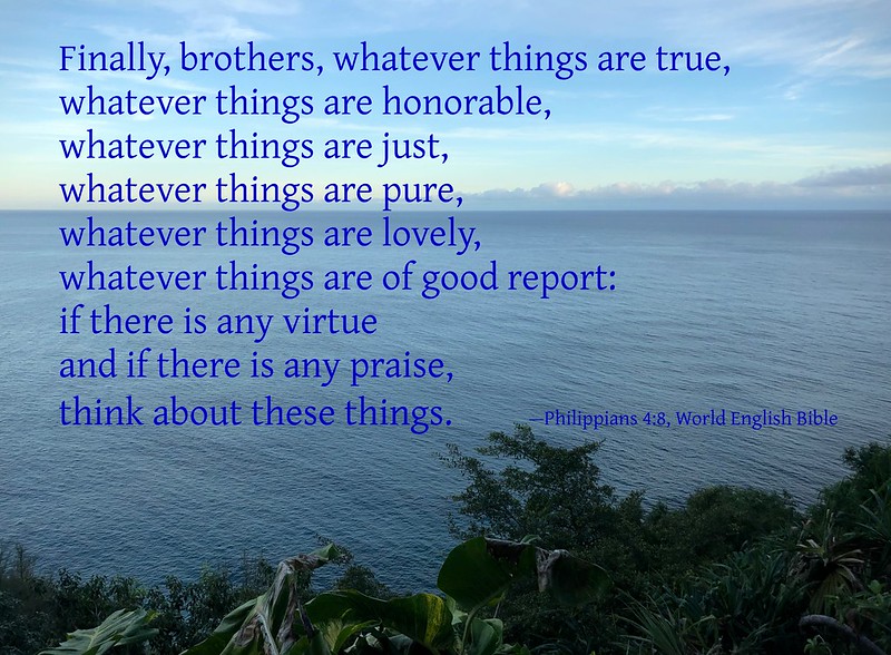 Finally, brothers, whatever things are true, whatever things are honorable, whatever things are just, whatever things are pure, whatever things are lovely, whatever things are of good report: if there is any virtue and if there is anything worthy of praise, think about these things.--Philippians 4:8, World English Bible
