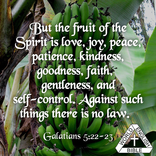 But the fruit of the Spirit is love, joy, peace, patience, kindness, goodness, faith, gentleness, and self-control. Against such things there is no law. — Galatians 5:22-23, World English Bible