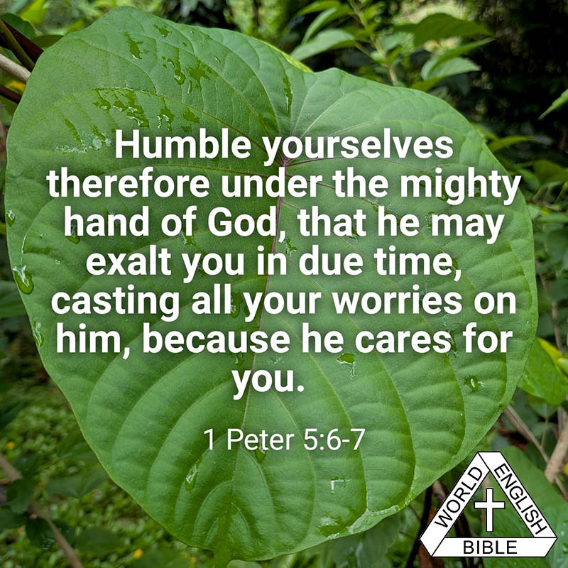 Humble yourselves therefore under the mighty hand of God, that he may exalt you in due time, casting all your worries on him, because he cares for you.—1 Peter 5:6-7