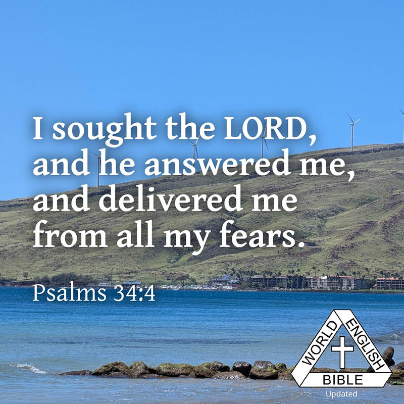 I sought the LORD, and he answered me,  
and delivered me from all my fears.   
—Psalms 34:4 WEB
