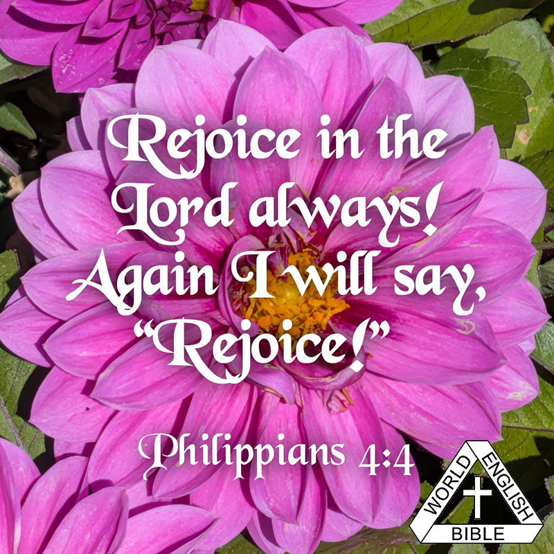 Rejoice in the Lord always! Again I will say, “Rejoice!” — Philippians 4:4 WEB